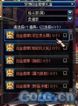 DNF白金徽章全职业选择指南与搭配推荐