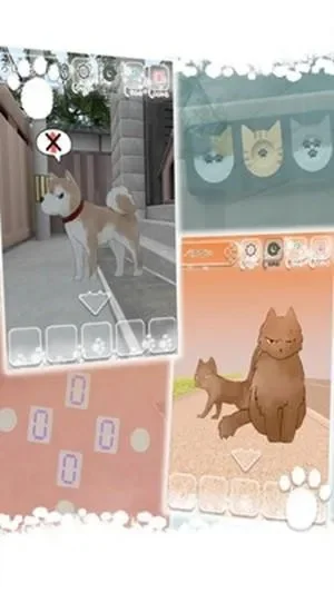 流浪猫生存挑战与游戏攻略：钥匙获取及关卡详解