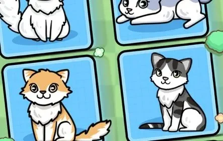 收养我的猫小游戏攻略解析及技巧分享