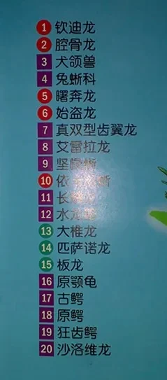 游戏王十大最强龙系卡-游戏王最强龙系卡盘点