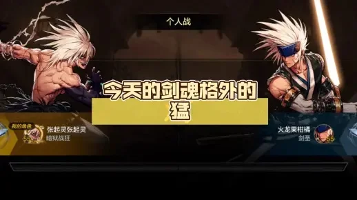 dnf手游剑魂太脆了-剑魂太脆应对策略